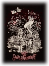 Alice and the Pirates
