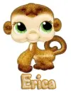 petshop monkey erica