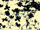 ABSTRACT