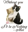 Cat Hugs - Without U I'd be Nothing, Mel