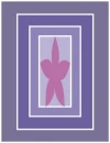 flower in purple frame