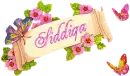 Spring Banner - Siddiqa