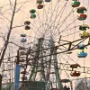 carnival
