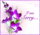 I am sorry