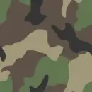 army