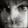 butterfly eyes