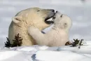 mom's love