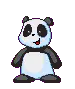 panda