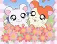 â™¥â™¥â™¥hamtaroâ™¥â™¥â™¥
