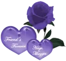 Heart's and a Rose