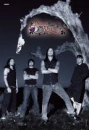 bfmv