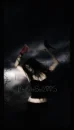 Fallen soul