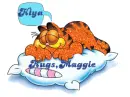 garfield