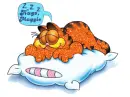 garfield