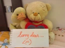 Sorry dear