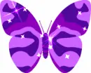 Butterfly:Tammy