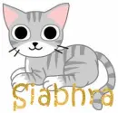 Siabhra - Tabby Cat