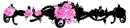 Roses ^^