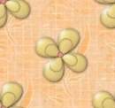 flower bg