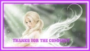 COMMENT