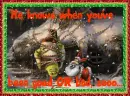Shrek & Santa Donkey from Shrek the Halls (glitter & snowfall effects)- He knows when you've been good OR bad...