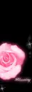 BLOOMING