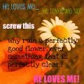 he loves me, he loves me not