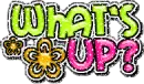 what`s up?