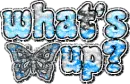 what`s up?