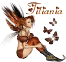 Fairy 