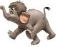 baby elephant