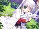 love bunny