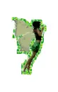 Fairy