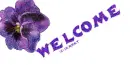 welcome