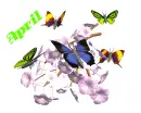 april
