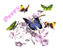 PERRY