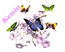 KENIA
