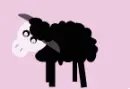 sheep stcing tongue out