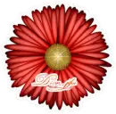 Dimples flower