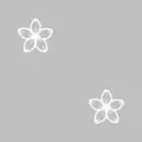 gray/white flowered bg