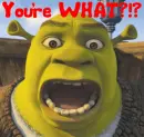 Shrek- You're WHAT?!?