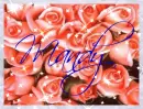 Pink Roses (with sparkles)- Mandy
