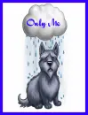 dog-wet