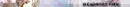 Anime Divider
