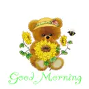 good morning