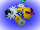 butterflys and flowers