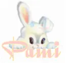 Pami