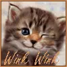Wink