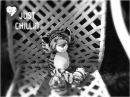 just chillin â™¥â™¥â™¥