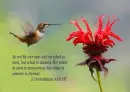 Quotes